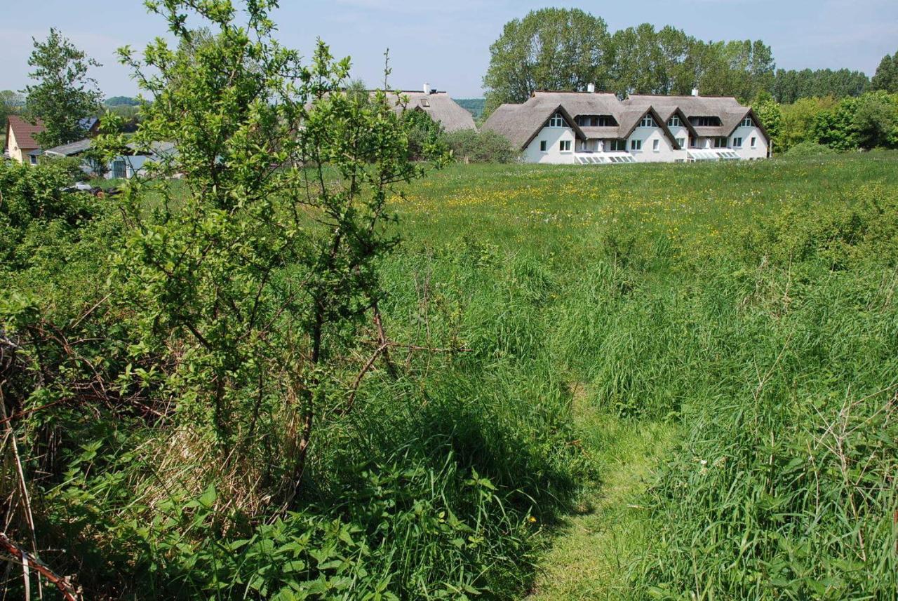 Strandhaus Lobbe - Fewo 45499 外观 照片